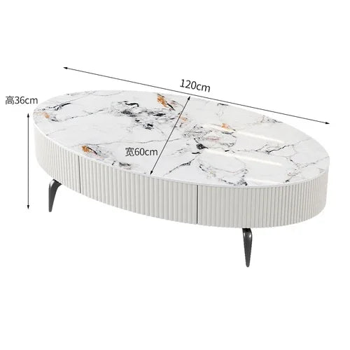 Minimalist Oval Coffee Table - Nordic Design with Storage