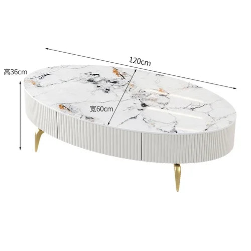 Minimalist Oval Coffee Table - Nordic Design with Storage