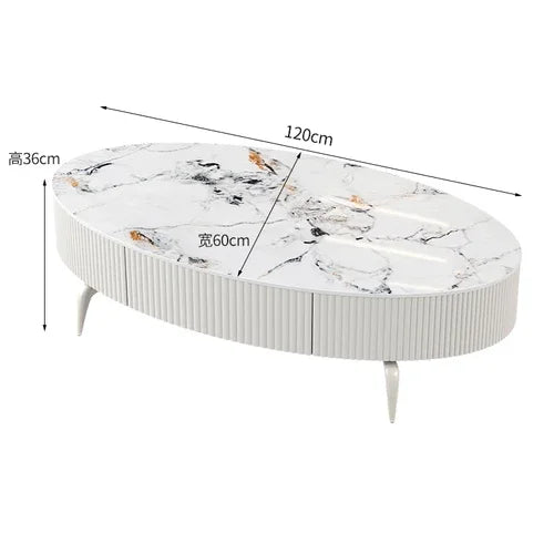 Minimalist Oval Coffee Table - Nordic Design with Storage