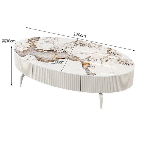 Minimalist Oval Coffee Table - Nordic Design with Storage